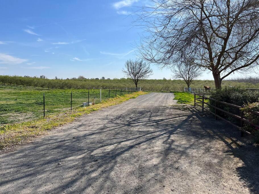 Adorable 1 Bedroom With Pool, And Horse Arena Oakdale Exterior photo